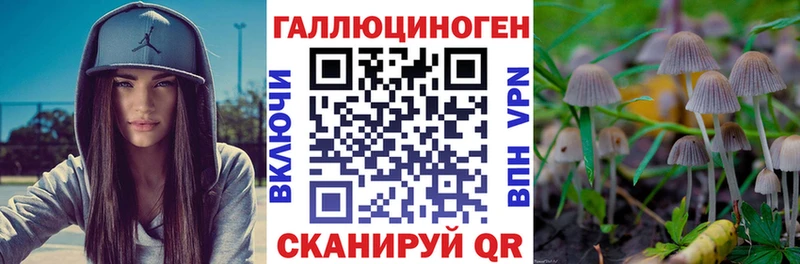 Псилоцибиновые грибы мицелий Ульяновск