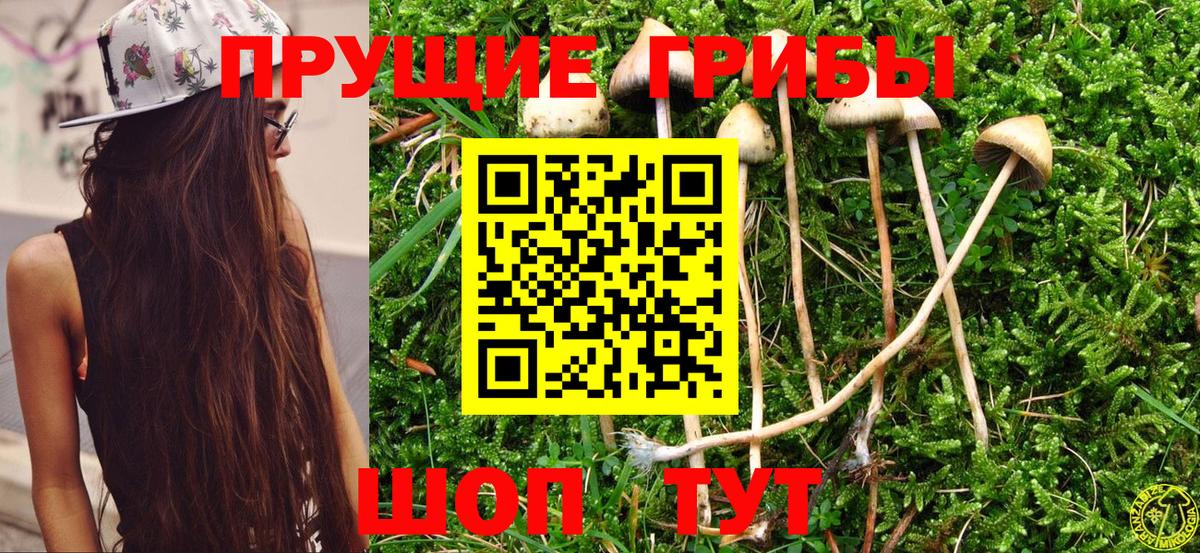 Псилоцибиновые грибы мицелий Ульяновск